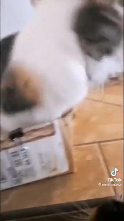 Punching people in your dreams be like (I urge you to watch on mute)