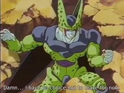 La verdadera razón por la que perdió Cell.