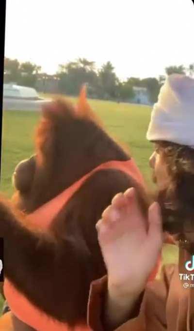 Mexican pride🦍❤️