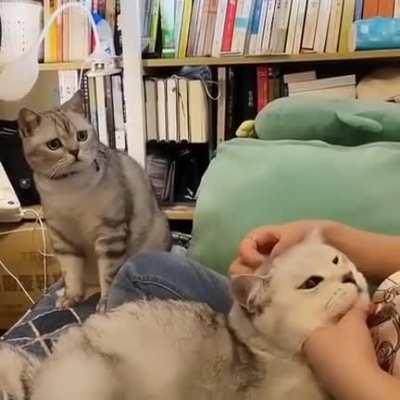 “This is outrageous! It’s unfair!”