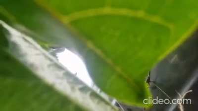 Reckless driving kalaburagi karnatak [Not OC]