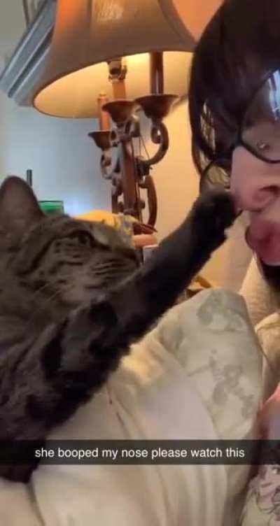 My Luna booped my nose lol (sorry for the Snapchat quality)