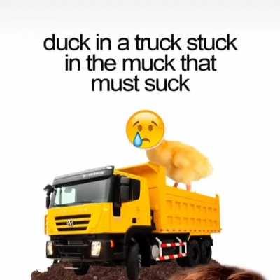 Duck in a truck