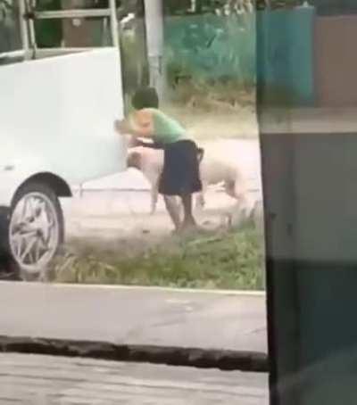 Throwing a rock at 2 dogs humping