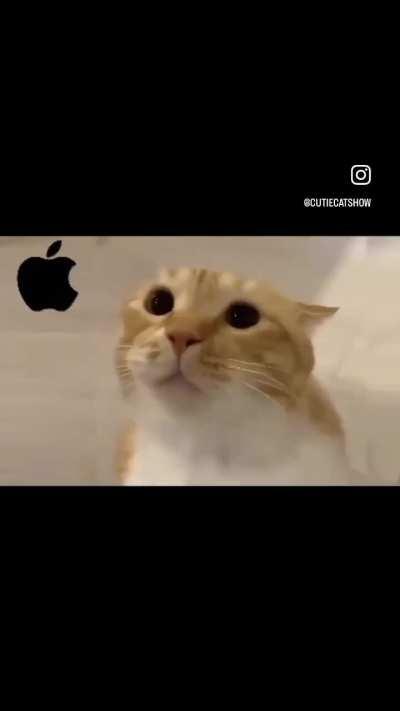 He has a bright future