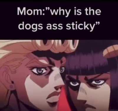 Idk ask the dog retard