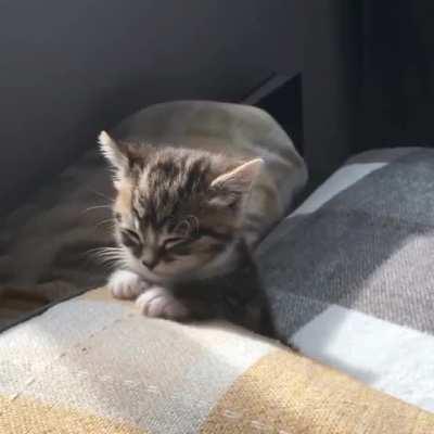 sleepy wakey sleepy wakey