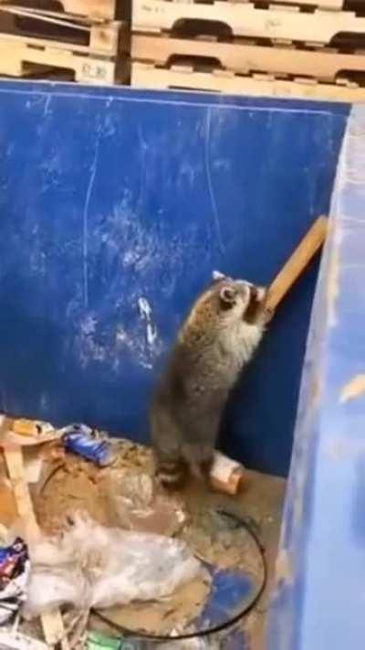 🔥 smarter than the average human