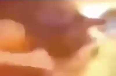 Mr Krabs is feeling nuclear fallout radiation 🔥🦀