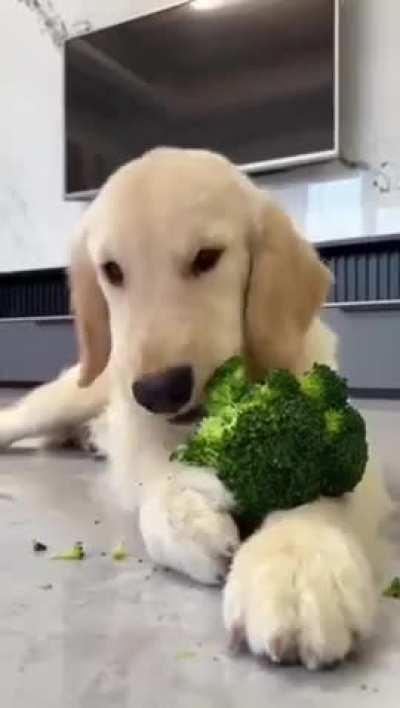 Enjoy your dinner😋