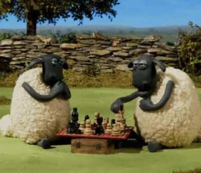 Me after analysing the board for 10 straight minutes