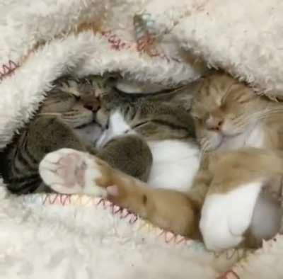Snuggling up