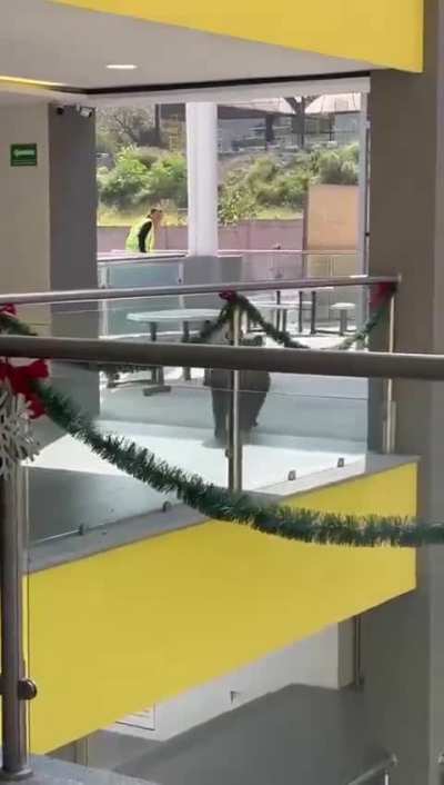 Un oso se pasea por pasillo del Colegio Himalaya, en San Pedro. Autoridades escolares aseguran que la situación fue controlada.