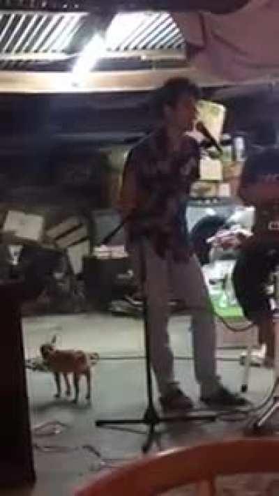 Que aferrado el chihuahua