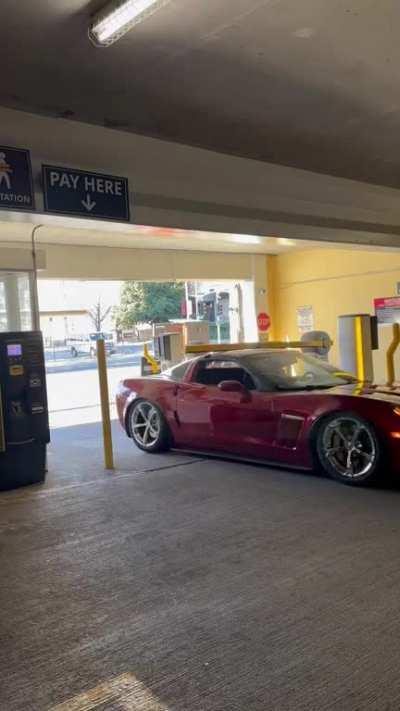 security guard came back mad i slid under the rail without paying lol