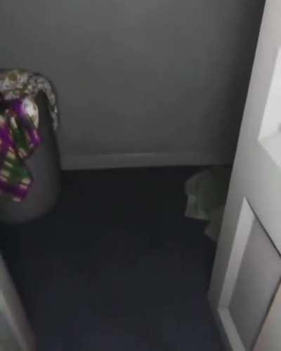 Thanks I hate empty closets