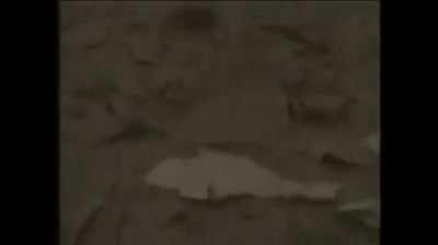 Ground Zero at the World Trade Centre. The beeping noise is from the fallen firefighters who require help (9/11/2001)