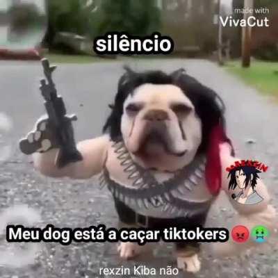 Silêncio... 🤫🤫🤫