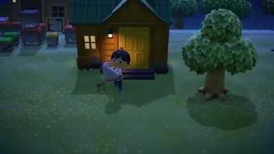 Get down mr tarantula