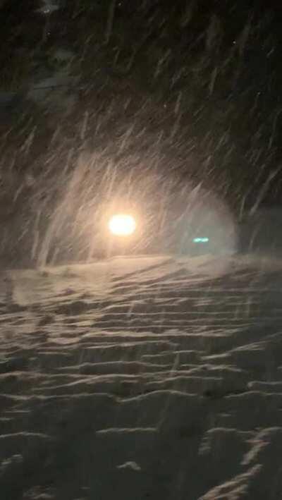 first rips in the snow before it became 3 ft of snow overnight. gotta love it