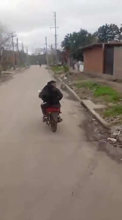 Colectivero de la l&iacute;nea 620 presenci&oacute; un robo en proceso y encerr&oacute; a los delincuentes con el bondi