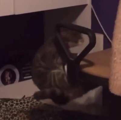 This may have been a bad idea