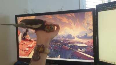 Can't stop the Pepper party.