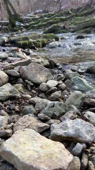 For those in quarantine, or just having a bad day I made this for those that just need a dose of nature