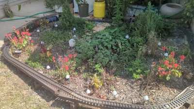 My little front yard garden railroad has come together pretty well!
