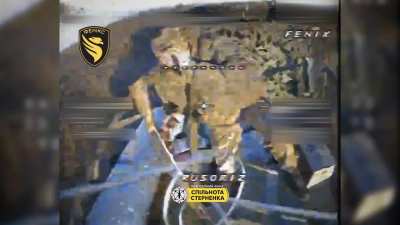 Ukraine's Unmanned Systems Forces 