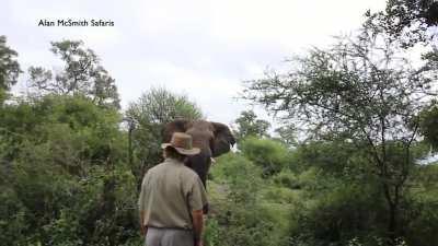 The balls on this guy. Totally unfazed by this wild elephant.