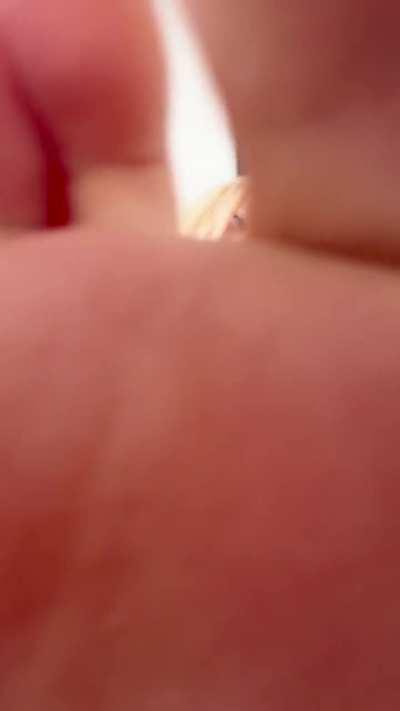 do they smell nice ? 😋