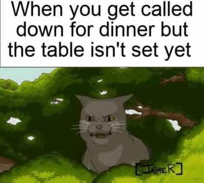 Oddly Terrifying Cat