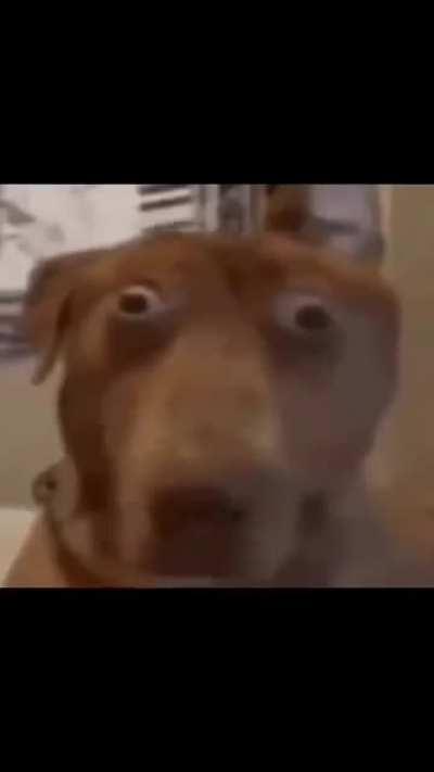 ESTILOZAP - Video #1161