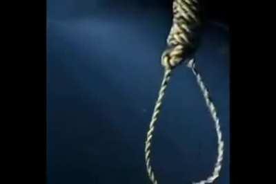 darkrai empezando el reddit: