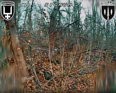 Signum Battalion strikes Russian Soldiers with FPV drones hiding amongst Trees, Lyman Direction