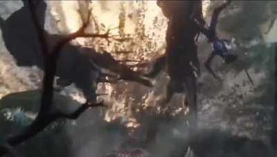 Human supremacy posting