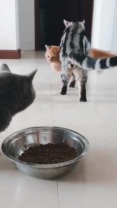 Did someone say late night snacks???