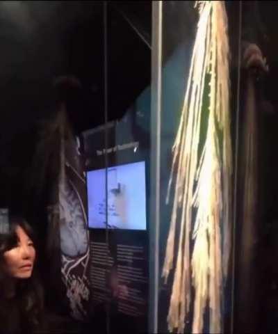 A fully intact human nervous system