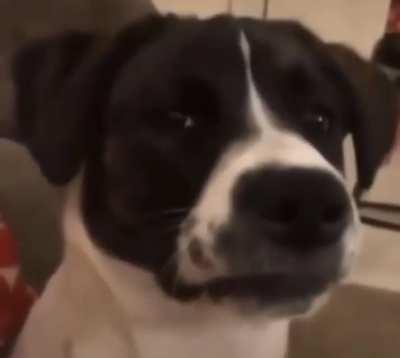 Me when my friends are laughing at me for liking WLR 😑