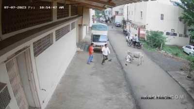 Street donkey attacks a man (July 7, 2023. India)