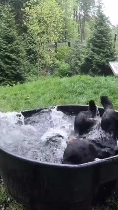 Just a nice day at the spa