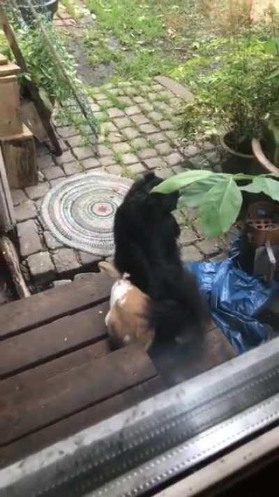 I don&rsquo;t think he was expecting this...