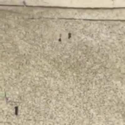 He was running down side by side throughout!