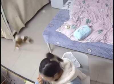 HMC while I pretend nothing happened