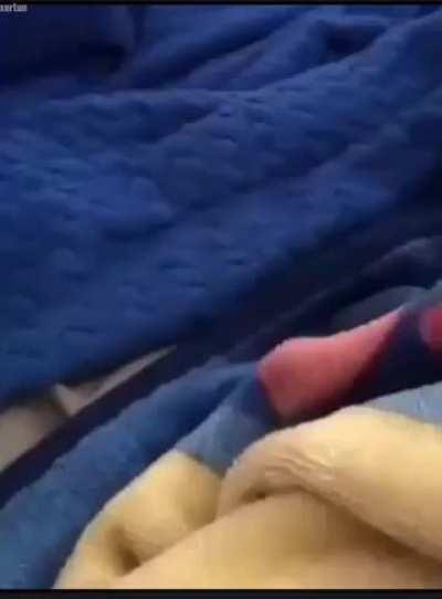 cat of the day 250!!!!! quarter of the way to the end of cotd (possibly)!!!!! thanks a lot for supporting the series so far!!