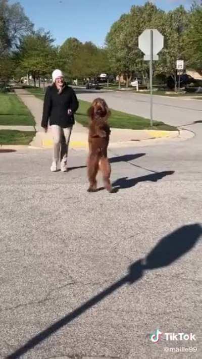 The way she crosses the street.. every time.