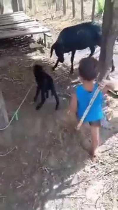 A valuable life lesson has been learned today.