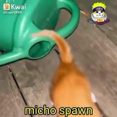 micho Spawn