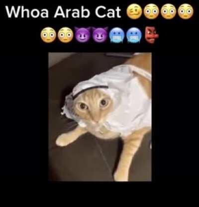 pog moment 👳🏻‍♂️